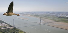 225 pont normandie