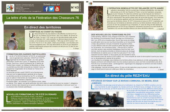 43 newsletter